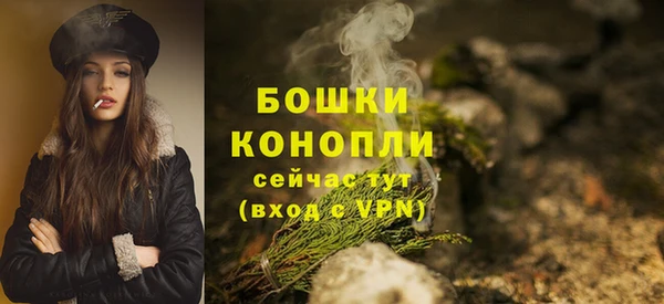 гидра Елабуга