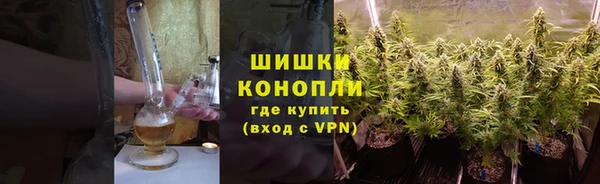 ECSTASY Пересвет
