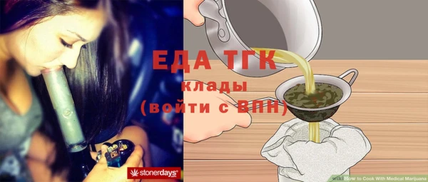 гидра Елабуга