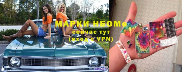 ECSTASY Пересвет