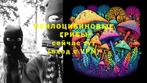 apvp Пестово