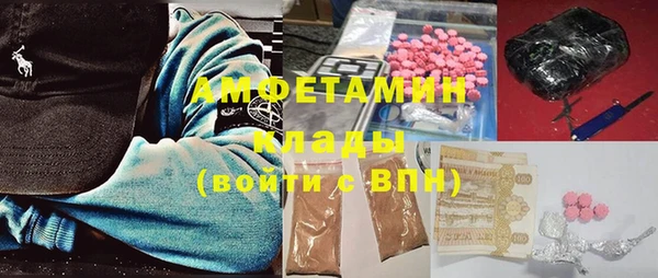 гидра Елабуга