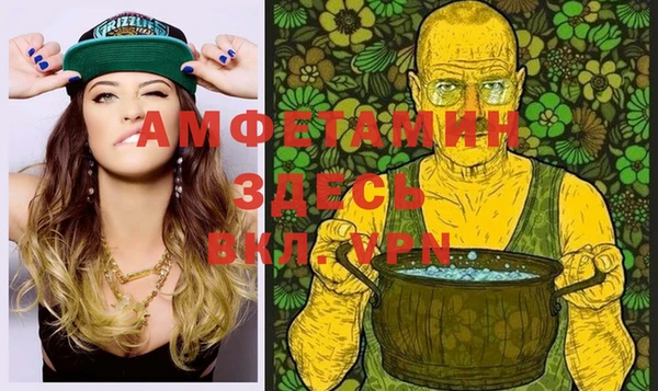 гидра Елабуга