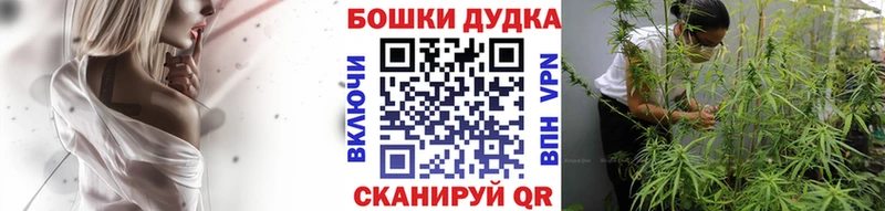Шишки марихуана AK-47  что такое наркотик  Себеж 